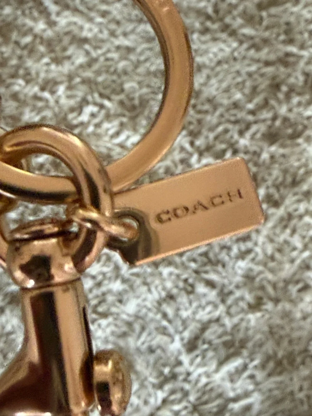 Coach Signature C Photo Book Bag Charm Keychain in Signature Canvas Chalk